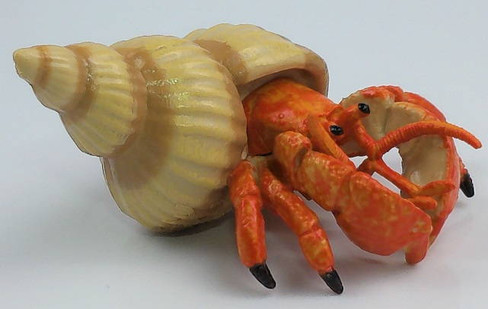 Papo Hermit Crab in Shell - Full on Frontal Picture