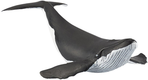 Papo Humpback Whale Calf - Fron Angle Picture
