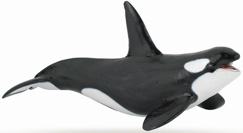 Papo Killer Whale / Orca figure with open mouth in swimming pose