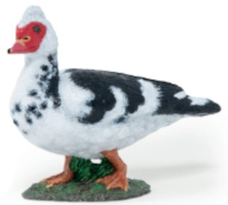 Papo Muscovy Duck - Side View