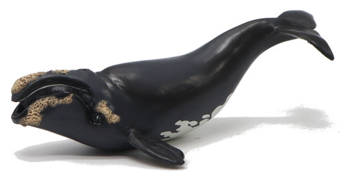 Papo Right Whale with Barnacles - Manufacturer Picture