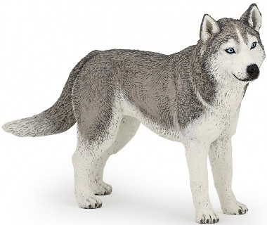 Papo Siberian Husky Figure with Grey Coat and Blue Eyes