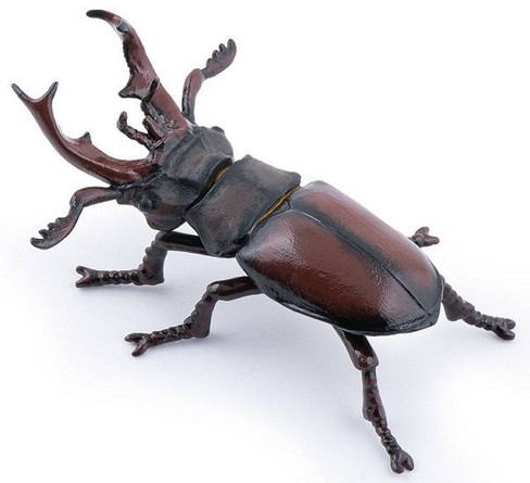 Papo Stag Beetle - Manufacturer Picture