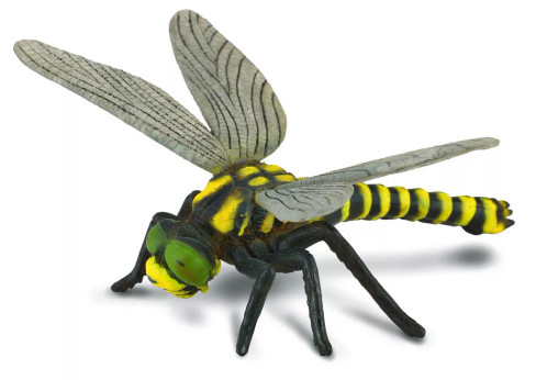CollectA Dragonfly - Golden-Ringed #88350 Manufacturer Image front view