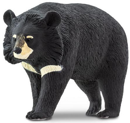 Safari Ltd. - Wildlife Collection - Moon Bear - Front View