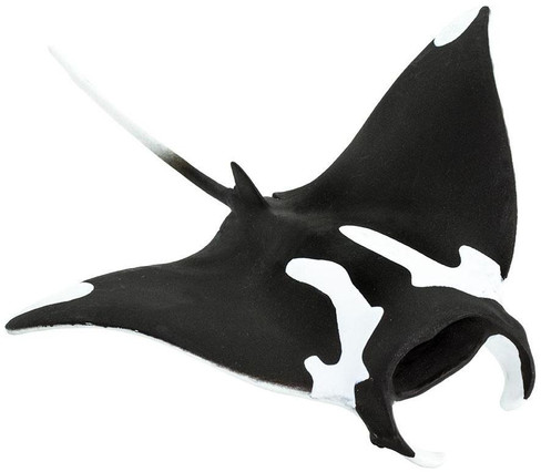 Safari Ltd. Manta Ray - Manufacturer Picture