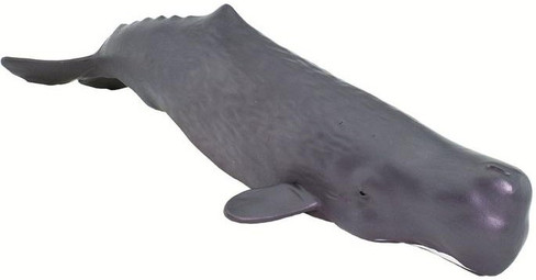 Safari Ltd. Sperm Whale - Front Angle View