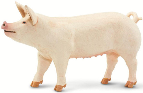 Safari Ltd. Large White Pig - Right Side View