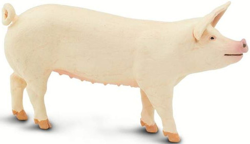 Safari Ltd. Large White Pig - Left Side View