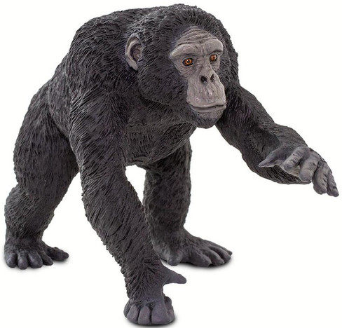 Safari Ltd. Chimpanzee - Large - Front View