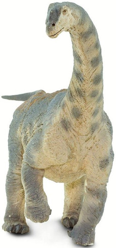 Safari Ltd. Camarasaurus - Front View