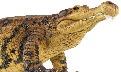 Safari Ltd. Sarcosuchus Dinosaur Figure - Close Up Head View