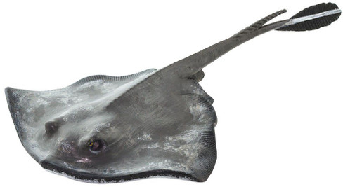 Safari Ltd. Sting Ray Figure - Manufacturer Picture