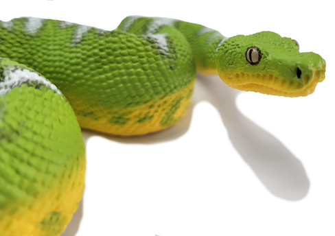 Safari Emerald Tree Boa Snake Figure - Close Up Head View