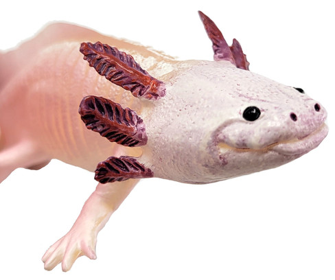 Safari Ltd. Axolotl Figure - Close Up Face View