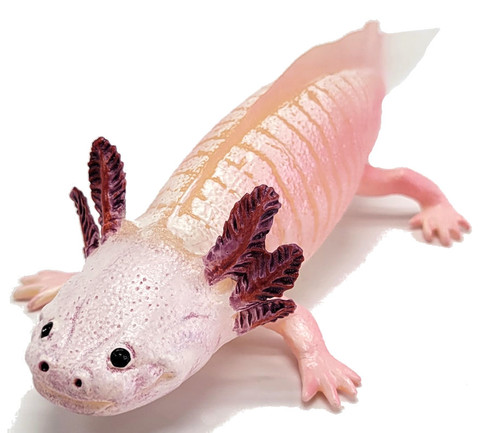 Safari Ltd. Axolotl Figure - Front Angle View - Right