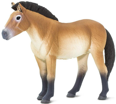 Safari Ltd. Prezwalskis Horse Figure
