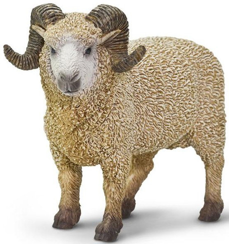 Safari Ltd. Sheep - Ram Figure