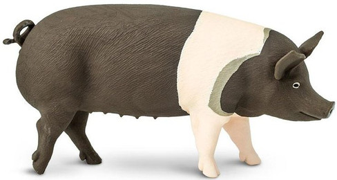 Safari Ltd. Hampshire Pig Figure