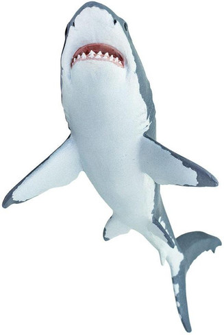 Safarit Ltd Great White Shark - Underside / Belly View