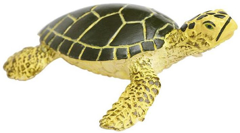 Safari Ltd.  Green Sea Turtle Baby Figure