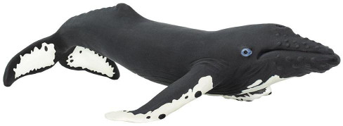 Safari Ltd Humpback Whale - Side View