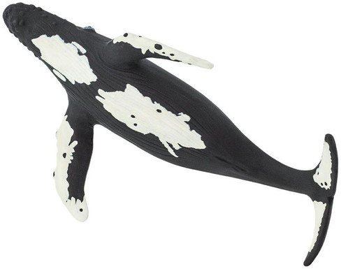 Safari Ltd Humpback Whale - Belly View