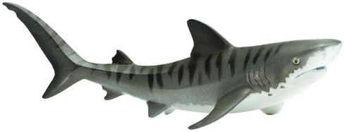 Safari Ltd Tiger Shark - Side View