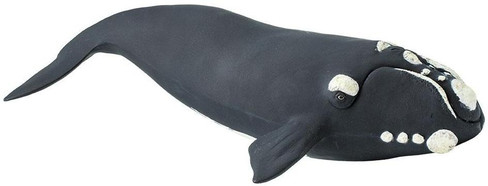 Safari Ltd Right Whale - Right Side View