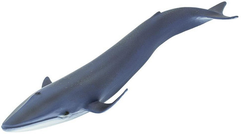 Safari Ltd. Blue Whale Figure - Top Angle View