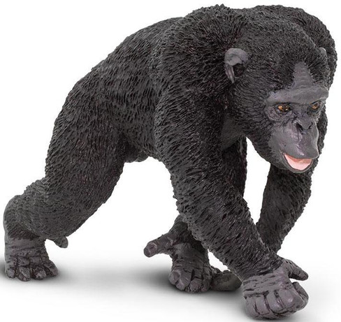 Safari Ltd. Toy Figure - Chimpanzee