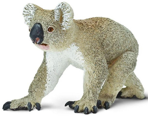 Safari Ltd Koala  - Front Angle View