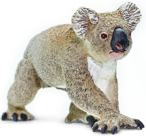 Safari Ltd Koala  - Side Angle View