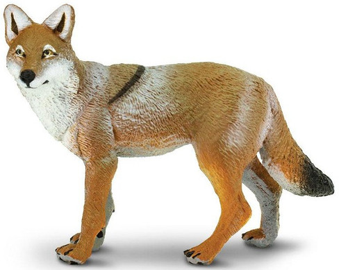 Safari Ltd. Coyote Figure