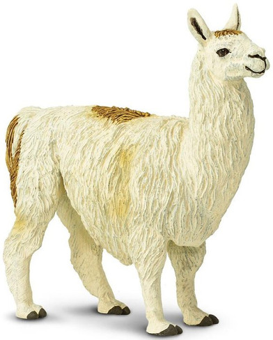 Safari Ltd Llama - Front Angle View
