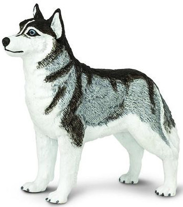 Safari Ltd. Siberian Husky Dog Figure
