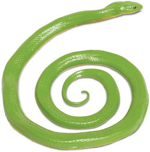 Safari Rough Green Snake - Top View