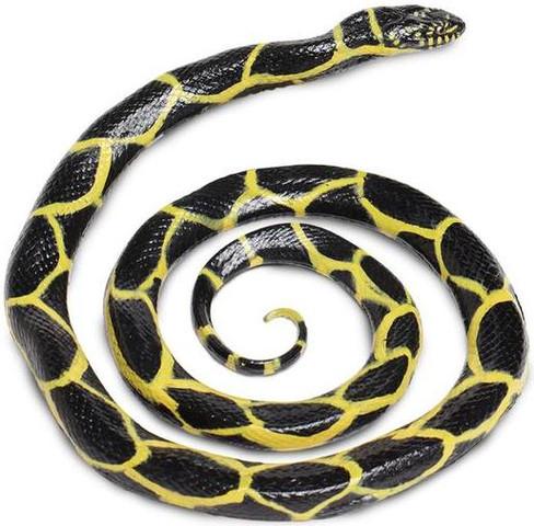Safari Ltd Chain Kingsnake Top View