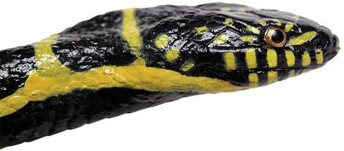 Safari Ltd Chain Kingsnake - Close Up Head View
