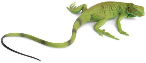 Safari Ltd. Iguana Baby Lizard - Side View