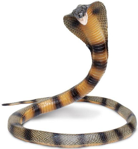 Safari Ltd Cobra Snake Front View