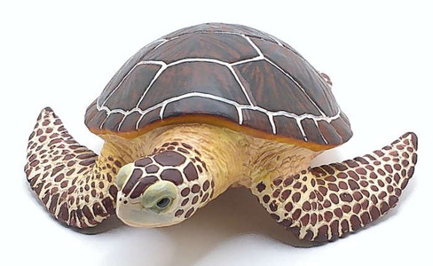 Safari Ltd Sea Turtle - Front View