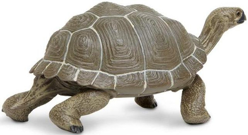 Safari Ltd Large Tortoise - Side View