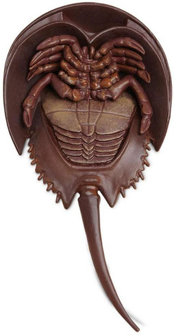 Safari Ltd Horseshoe Crab - Bottom View