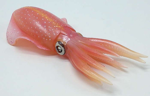 Safari Ltd Reef Squid - Rear Angle View