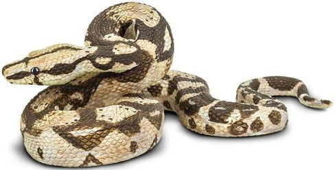 Safari Ltd. Boa Constrictor Snake - Front View