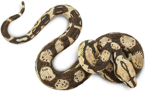 Safari Ltd. Boa Constrictor Snake - Top View