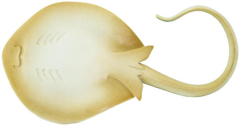 Safari Ltd. - Blue Spotted Ray - Bottom View