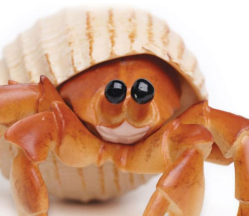 Safari Ltd Hermit Crab - Close Up Face View