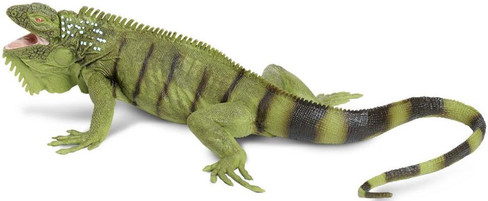 Safari Ltd Iguana Green Lizard - Side View